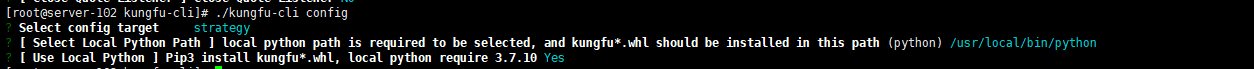 _images/guide-cli-loacl-python.png