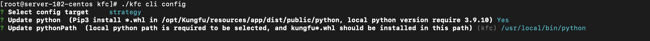 _images/本地python_cli.png